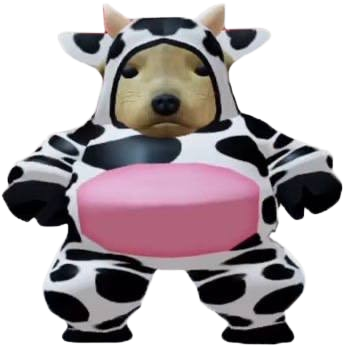 The costume